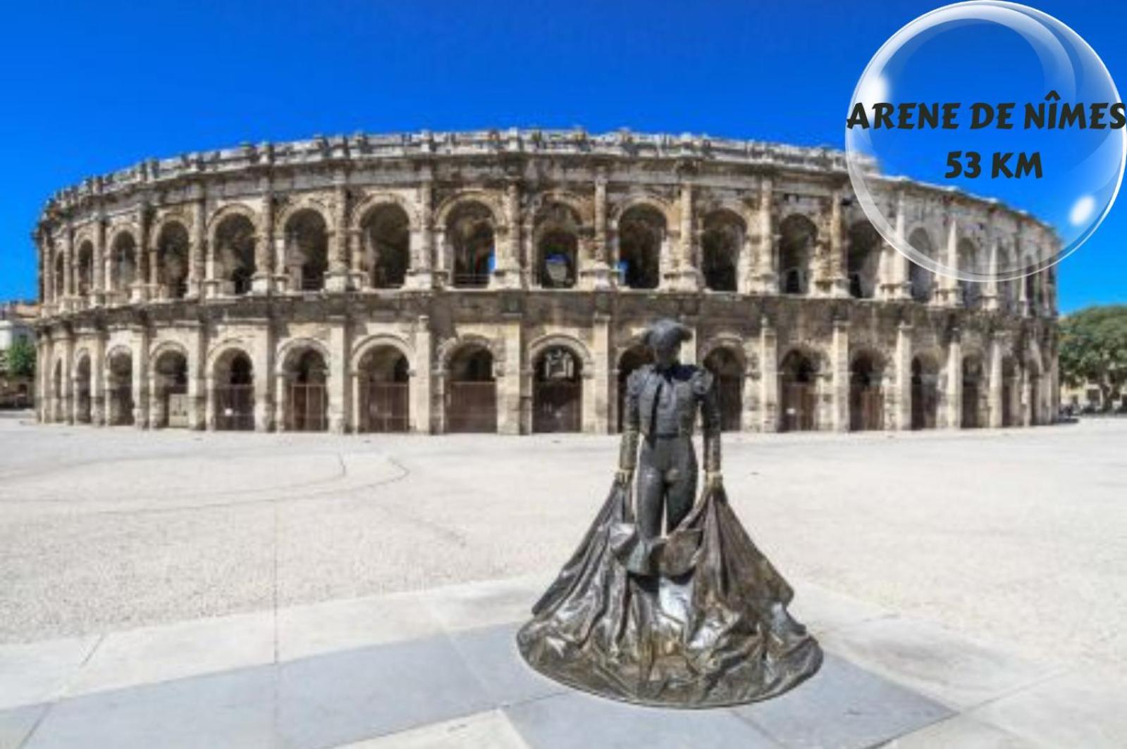 דירות אביניון Le Cosy Du Gal, A 2 Pas Du Palais Des Papes Parking Gratuit Securise מראה חיצוני תמונה