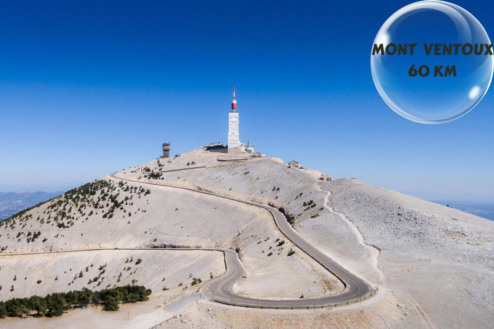 דירות אביניון Le Cosy Du Gal, A 2 Pas Du Palais Des Papes Parking Gratuit Securise מראה חיצוני תמונה