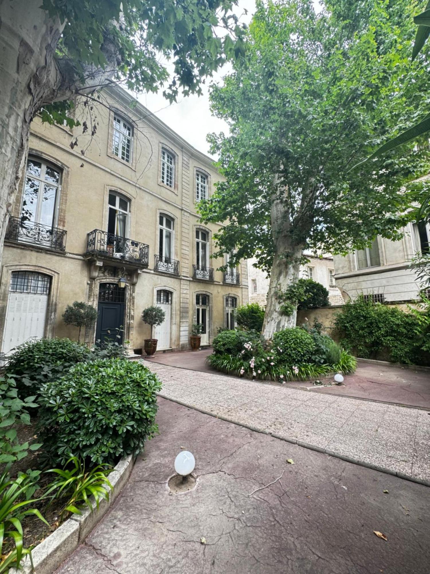 דירות אביניון Le Cosy Du Gal, A 2 Pas Du Palais Des Papes Parking Gratuit Securise מראה חיצוני תמונה