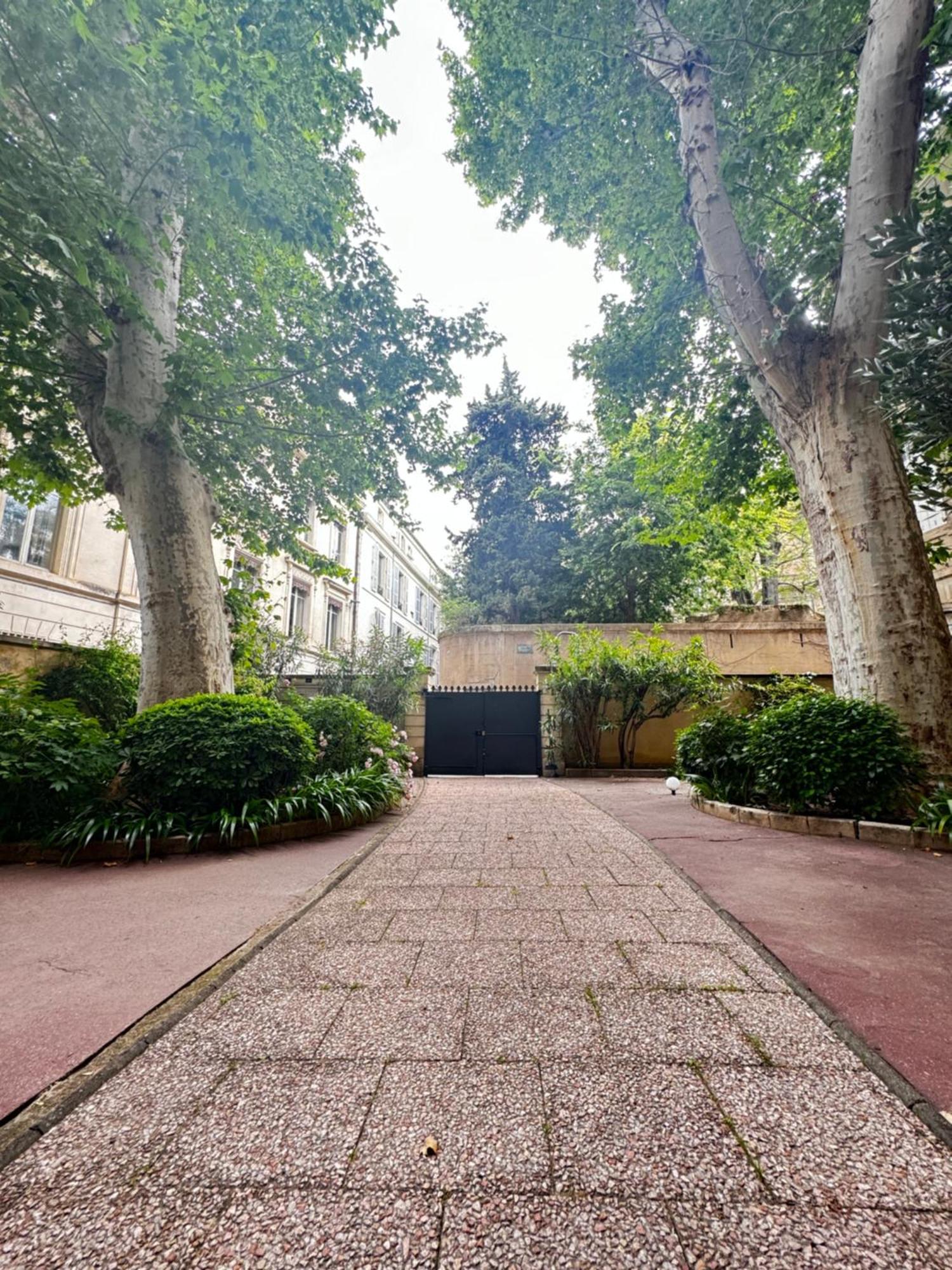 דירות אביניון Le Cosy Du Gal, A 2 Pas Du Palais Des Papes Parking Gratuit Securise מראה חיצוני תמונה